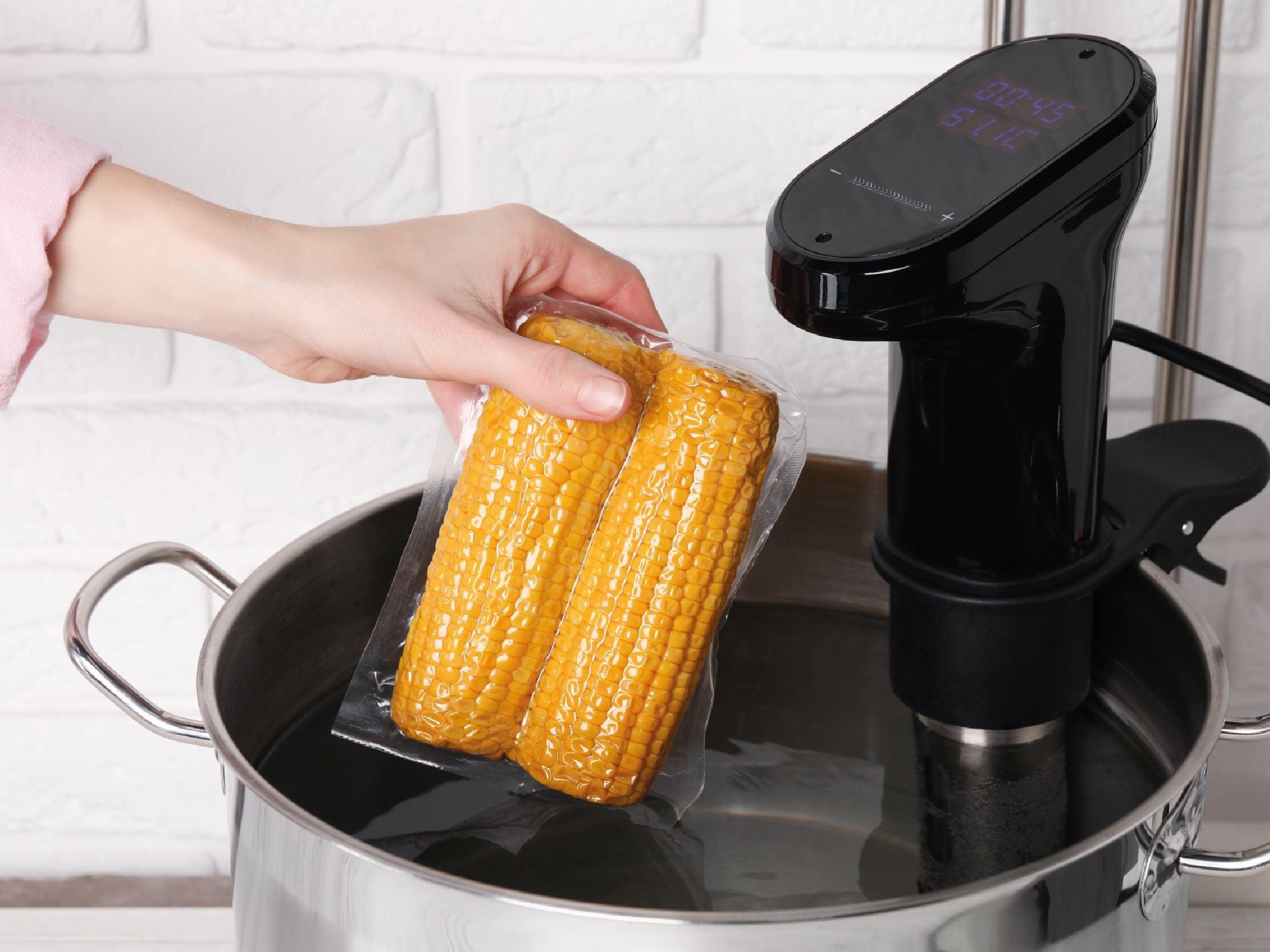 domácí vakuování potravin pro sous-vide vaření